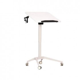 ZENO-II Sit Stand Desks (White)