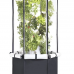 Aerospring Indoor Hydroponic System