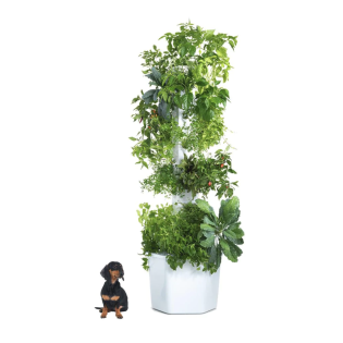 hover image