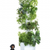 Aerospring Pro Hydroponic System