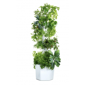 Aerospring Pro Hydroponic System