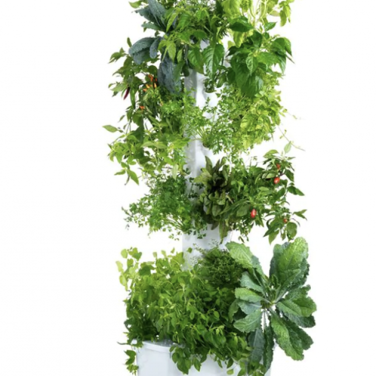 Aerospring Pro Hydroponic System