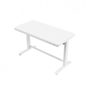 Electric Height Adjustable Standing Desk 
