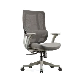 TS2937B Mesh Chair TS2937B Mesh Chair