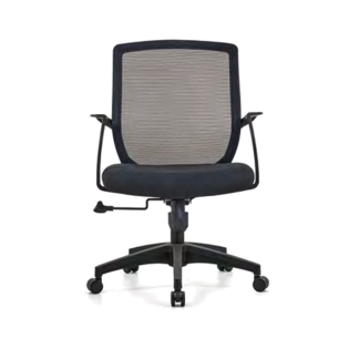 TS2858 Mesh Chair