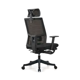 TS2900 Mesh Chair