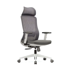 TS2908 Mesh Chair