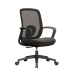 TS2910 Mesh Chair TS2910 Mesh Chair