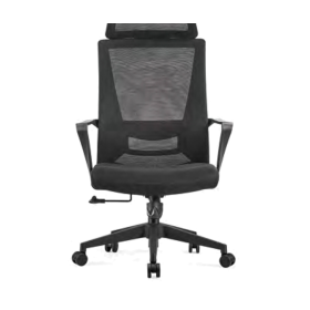 TS2913 Mesh Chair