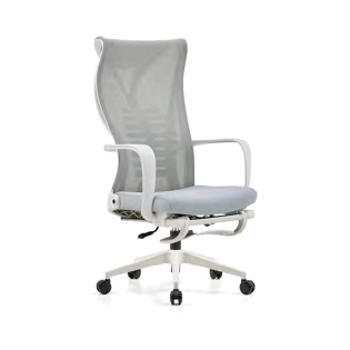 TS2918 Mesh Chair