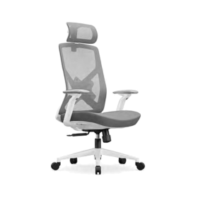 TS2932 Mesh Chair TS2932 Mesh Chair