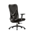 TS2936B Mesh Chair TS2936B Mesh Chair