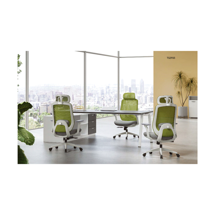TS2933 Mesh Chair TS2933 Mesh Chair